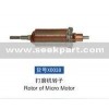Rotor of Micro Motor