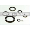 Oil seal