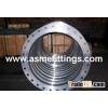 A105 Steel Flange and forged fittings