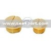 Brass Drain Plug