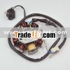 Motorcycle Stator GY6 8-pole