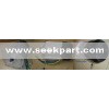 Golf Cart BLDC Motor