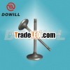 6C SERIES engine valve for cars