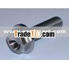 Titanium bolts / titanium screws