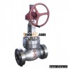 Sell Gear Operation High Pressure Globe Valve