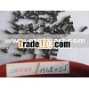 Torx Screws M2.0 for torx head