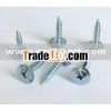 Self Tapping Screw (Modified Truss Head)