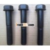 Track Roller Bolt