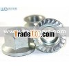 flange nuts