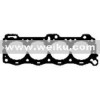 Cylinder  head Gasket