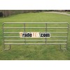 Heavy duty steel horse panels enclose and protect horse