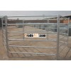 Galvanized horse fence efficiently protect horse
