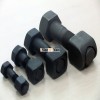 Track bolts and nuts