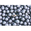 casting steel ball