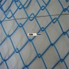 Chain Link Mesh