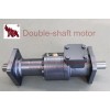 Double output-shaft orbit hydraulic motor spool valve