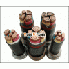 power cable