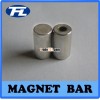 permanent magnet