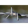 Barbed wire