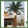 Decorative artificial palm