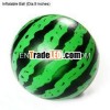 Inflatable Summer Ball