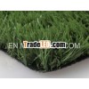 Soccer grass