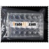 AMA 24 well cell culture plate (Standard treated)