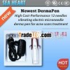 Latest 2 pcs free 12 pins derma pen needle cartridges Auto electric dermapen /derma pen