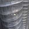 Hot dip galvanized welded wire mesh