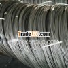 Stainless Steel Wire