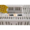 chicken transport cage