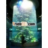 reef tank