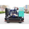 New AC Three Phase 40kw natural gas generator set