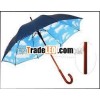 Arc 23' *8Ribs Double Layers Wood Air Umbrella