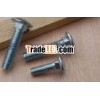 Carriage Bolts