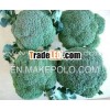 High quailty Fresh Broccoli
