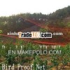 bird netting