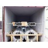Aluzinc Galvalume steel coil\/sheet