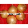 2012 china onion price (3-5cm) , fresh red onion, sell fresh onion supplier in china