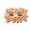High yield Peanut seeds