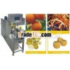 PLC Automatic orange peeling machine