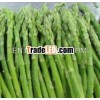 IQF green asparagus