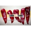 Hot sale new frozen red chili