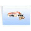 Air Control Valve/Forging Parts