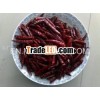 red dry hot chillli pepper