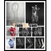 female head mannequin wholesale/manufacture for london