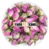 supply pink rose , red rose , dired Roses, Rose Flower,Lovely Roses