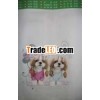 transfer paper