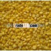 Quality Golden maize
