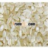 1121 Indian Medium Grain White Rice